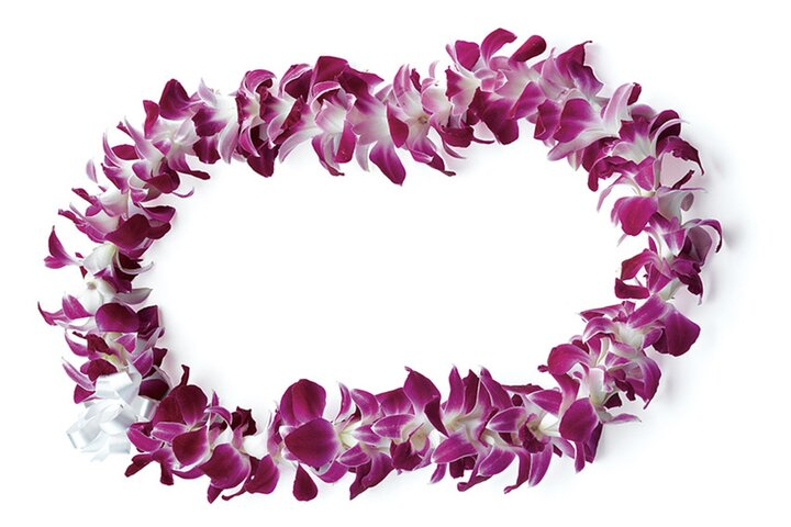 Honolulu Private Airport Transfer (Arrival with Lei or Departure) - Photo 1 of 7